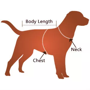 No-Pull Dog Harness at Canine Command Gold Coast Size Guide