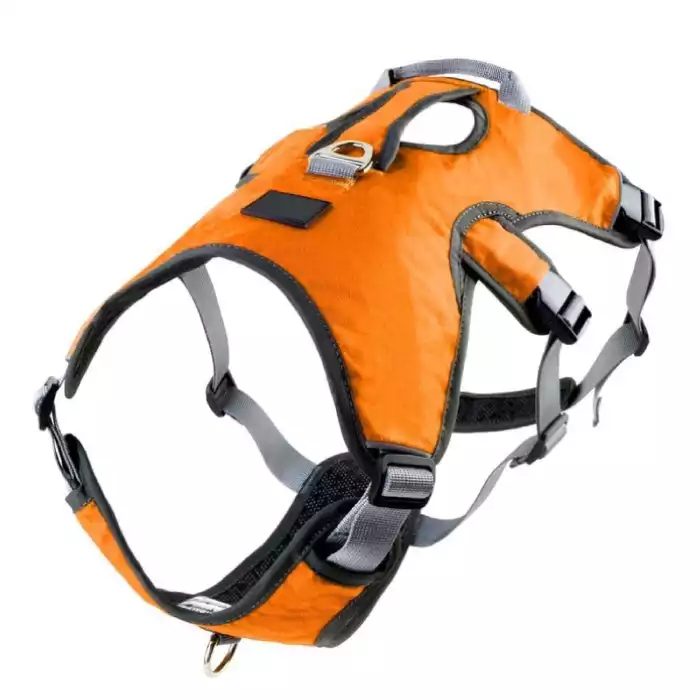 Escape Proof Dog Harness from Canine Command Gold Coast
