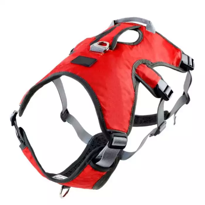 Escape Proof Dog Harness from Canine Command Gold Coast