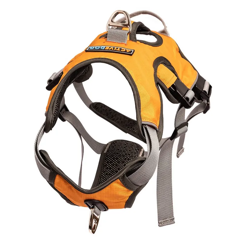 New Escape Proof Dog Harness at Canine Command Gold Coast Orange