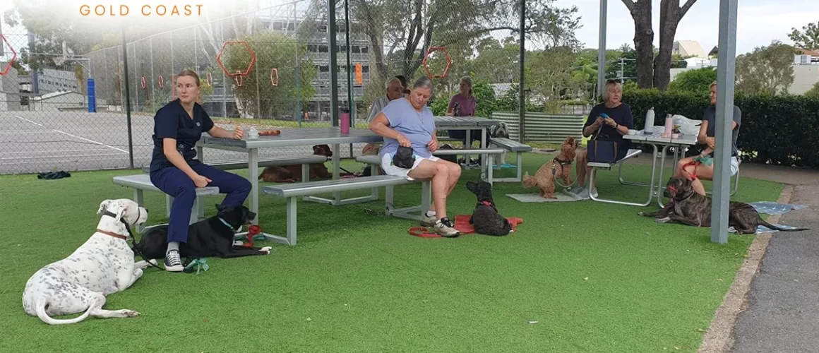 The Perfect Pup-uccino. Dog Training for Café Visits with Canine Command Gold Coast New