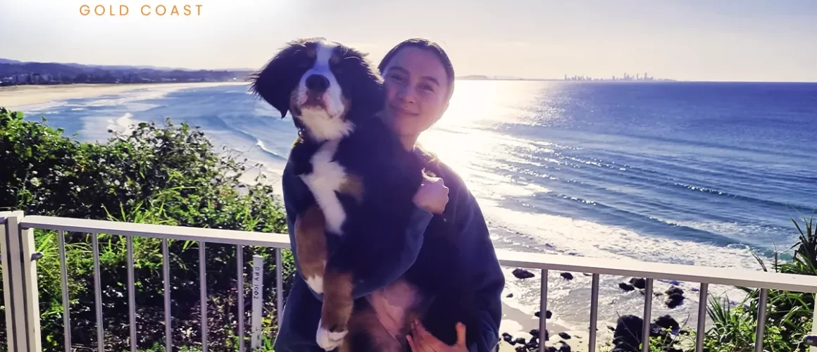 Dog Training & Pet Sitting Burleigh with Canine Command Gold Coast New