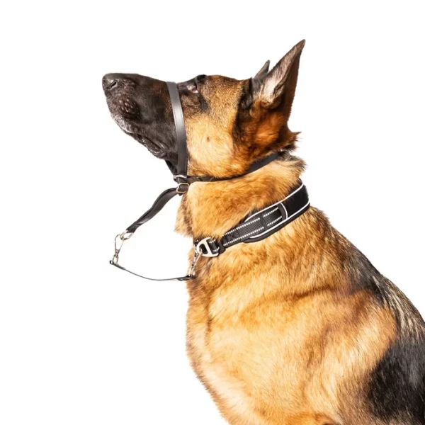POSITVE LEADER WATERPROOF DOG HEAD COLLAR